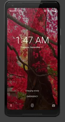 Autumn Maple Leaves Video Wall android App screenshot 2