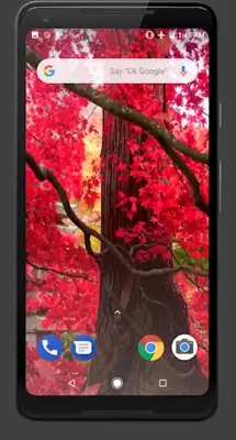 Autumn Maple Leaves Video Wall android App screenshot 3